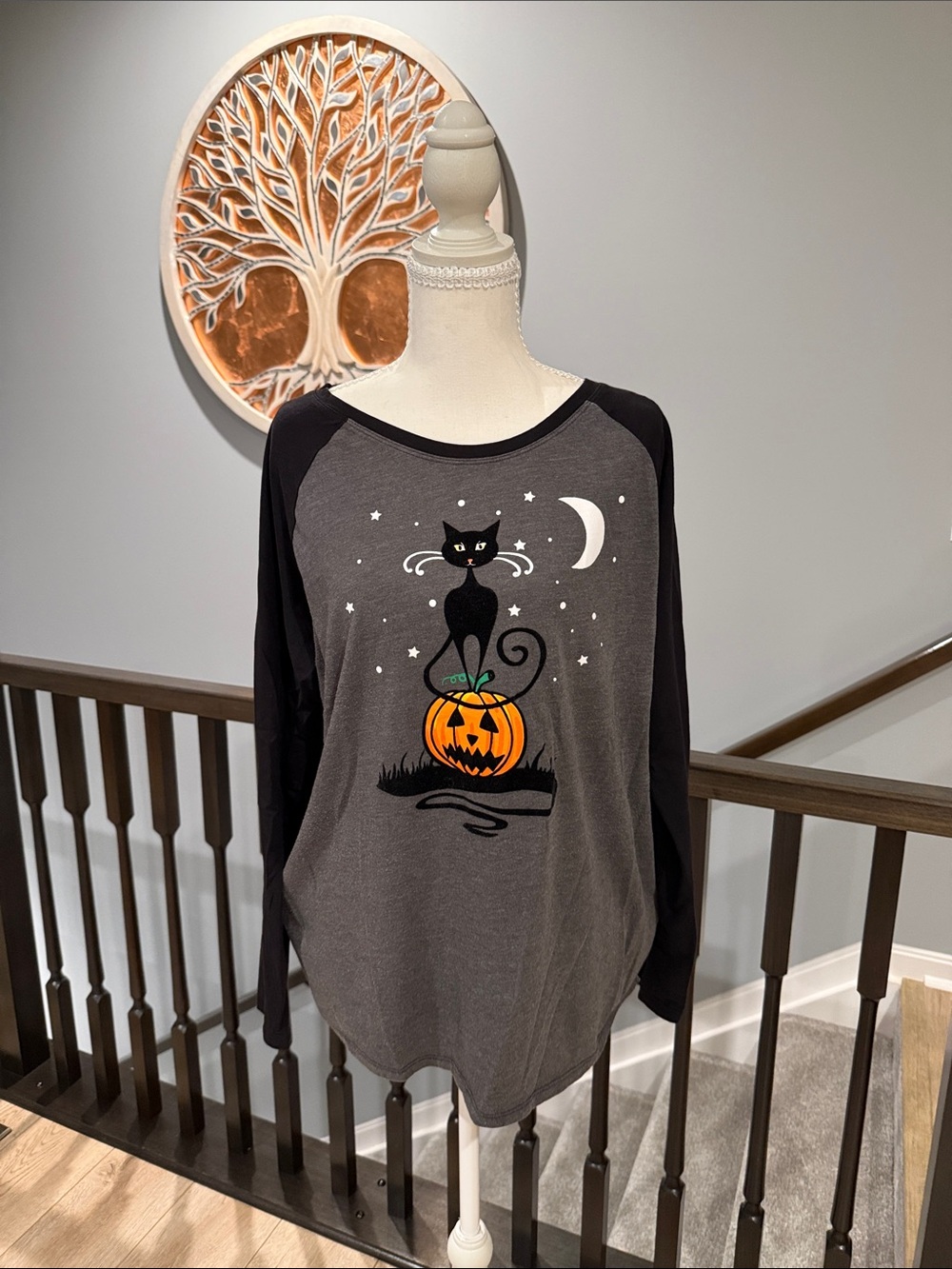 Source Unknown Black and Gray Halloween Cat Pumpkin Raglan